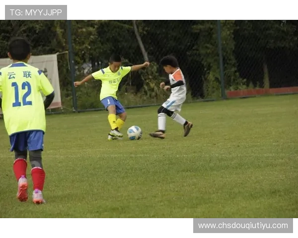 如何通过斗球直播平台轻松观看各类足球比赛实现足球迷的梦想