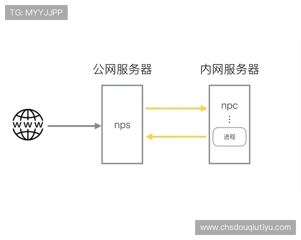 斗球官网在线平台的特色功能和用户使用指南全面解析