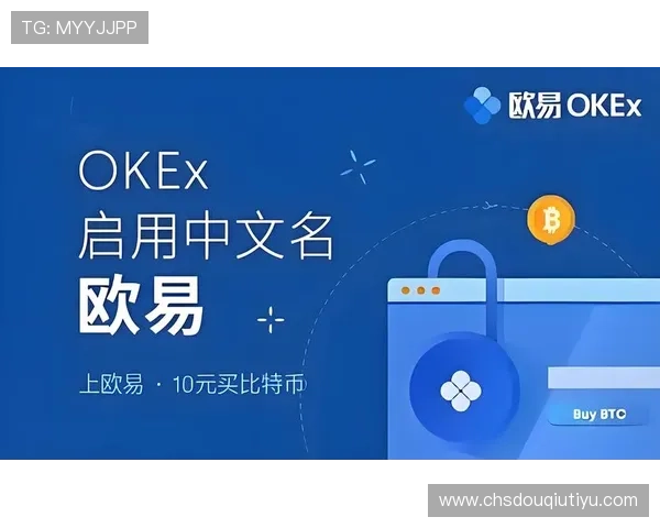 斗球极速版电脑版官网下载安装指南，官方平台下载确保安全无病毒