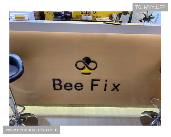 斗球极速版v2.3.1版本常见问题与解决方案，帮助玩家排除游戏中的各种困扰