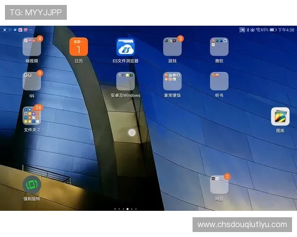 斗球直播官网app下载安装常见问题及解决方案帮助用户顺利完成软件安装