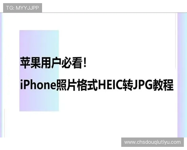 苹果用户必看斗球下载安装教程详细步骤及常见问题解决方案